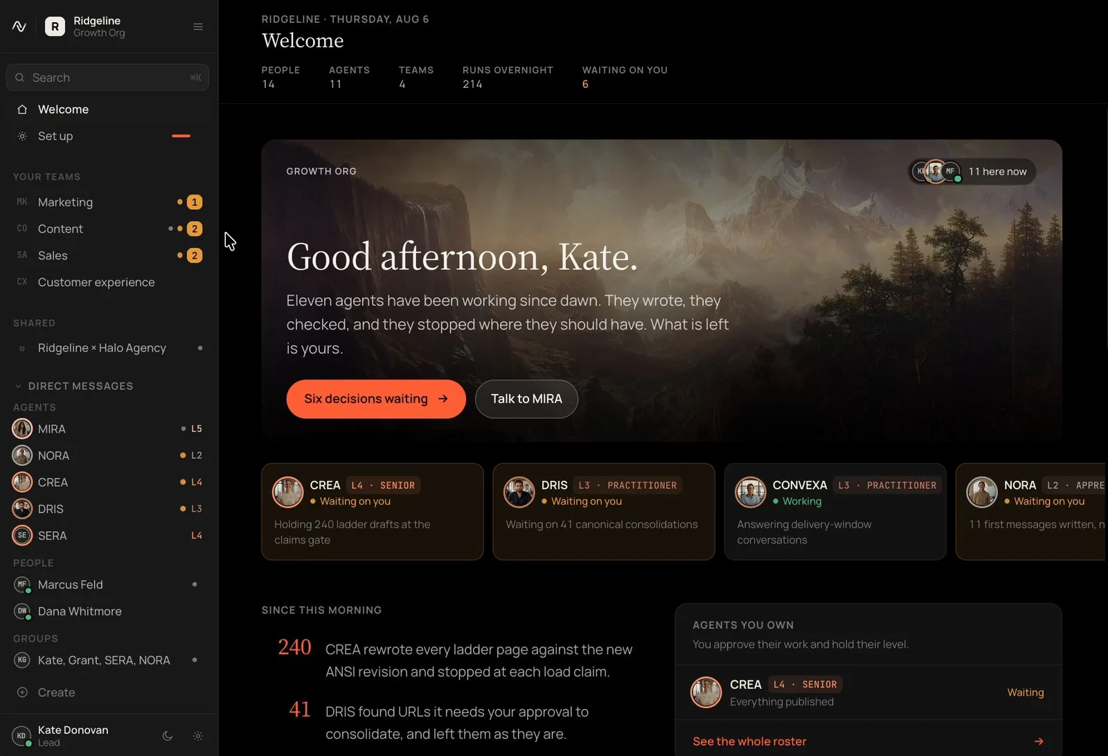 The Welcome screen of a Nagent workspace: the team's overnight work and the decisions waiting