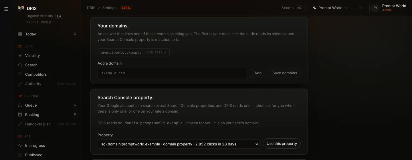 DRIS Settings for the example workspace: its domains, with the main site marked, and the Search Console property DRIS reads, chosen because it is on the main domain, with its clicks over the last 28 days